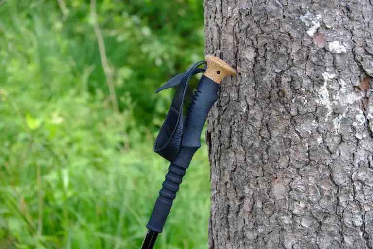 Un bastón de montaña apoyado en el tronco de un árbol